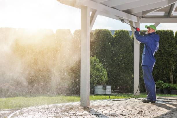 Animal Enclosure Cleaning in Kailua, HI